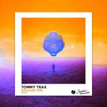 Portada para "Bassline Fine"