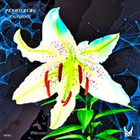 Artwork for "Tripledot"