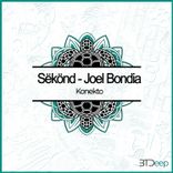 Artwork voor "Konekto"