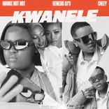 Artwork for "Kwanele"