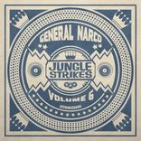 Artwork für "Jungle Strikes, Vol. 6"