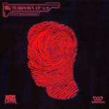 Artwork for "TEARDOWN"