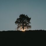 Artwork voor "Bury My Mind"