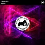 Portada para "Brain Fog"