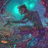 Artwork for "ShirDark"