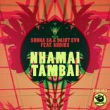 Portada para "Nhamai Tambai"