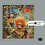 Artwork voor "Enigma Acid"