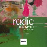 Artwork for "In the Hood"