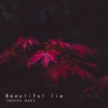 Artwork für "Beautiful Lie"