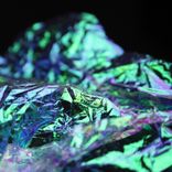 Artwork for "nevernotnow_003"