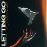 Artwork voor "Letting Go"