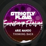 Artwork voor "Thinkin Back"