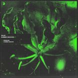 Portada para "Dubbed Grooves"