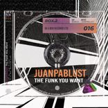 Artwork voor "The Funk You Want"