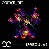 Portada para "Irregular"