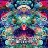Portada para "Have a Nice Trip"