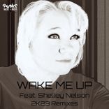 Artwork voor "Wake Me Up (2K23 Remixes)"