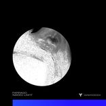 Artwork voor "Naked Light"