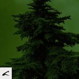 Artwork for "Echoes"