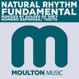 Portada para "Fundamental"