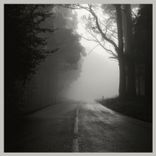 Artwork for "I Just Wanna Die"