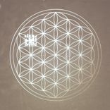 Portada para "Guardian"