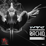 Artwork for "Orchid/C41"
