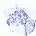 Artwork for "Affekt & Tradition"