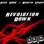 Artwork for "Revolution Down"
