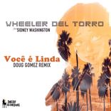 Artwork voor "Você é Linda (Doug Gomez Merecumbe Soul Remix)"