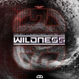Artwork for "Wildness / Pressure"