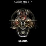 Portada para "Risk3"