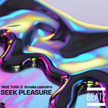 Artwork for "Seek Pleasure"