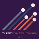 Artwork for "Funk Evolutions # 20"