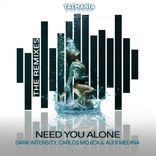 Artwork for "Need You Alone (The Remixes)"