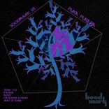 Portada para "Puka Pukara"