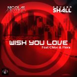 Artwork für "Wish Your Love"