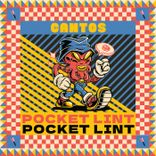 Artwork for "Pocket Lint"