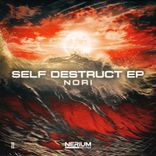 Artwork voor "Self Destruct EP"
