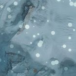 Artwork für "Andalusian Acid Canicas"