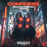 Artwork voor "Megasuperborg / Gizmo"