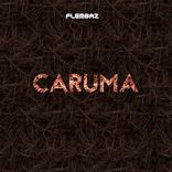 Artwork voor "Caruma"