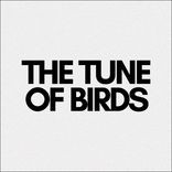 Artwork for "The Tune of Birds"