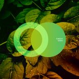 Artwork for "Sierra"