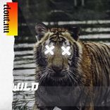 Artwork for "Wild"