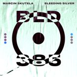 Artwork for "Bleeding Silver"