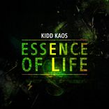 Artwork for "Essence Of Life"