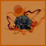 Artwork for "Coma 14"