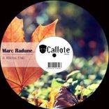 Portada para "A Wrong End"