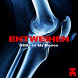 Portada para "In My Bones"